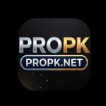 PROPK.NET online gaming platform interface